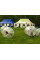Bumperball 1.2